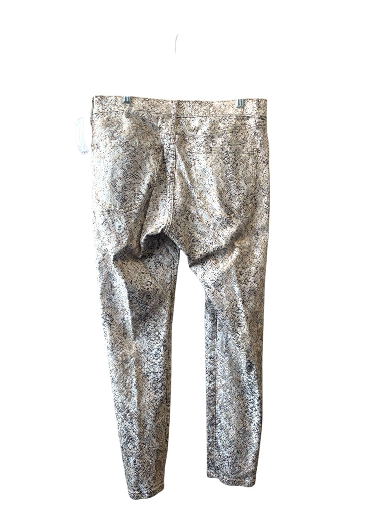 EXPRESS  10 JEANS W