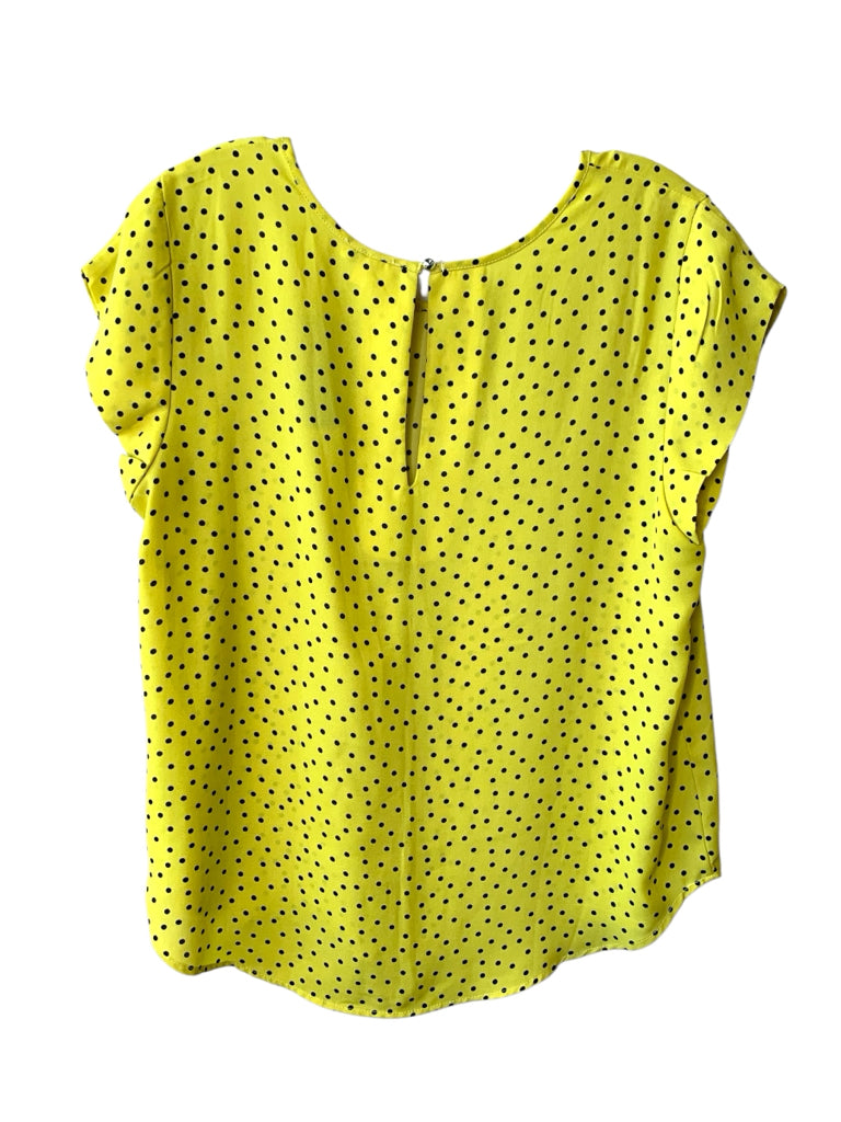 LILY WHITE  large TOP W