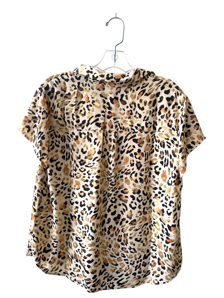 CABI  medium TOPW