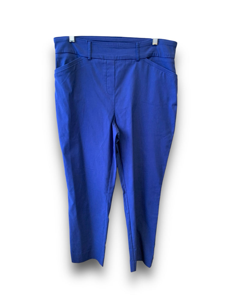 HILARY RADLEY  12 PANTS W