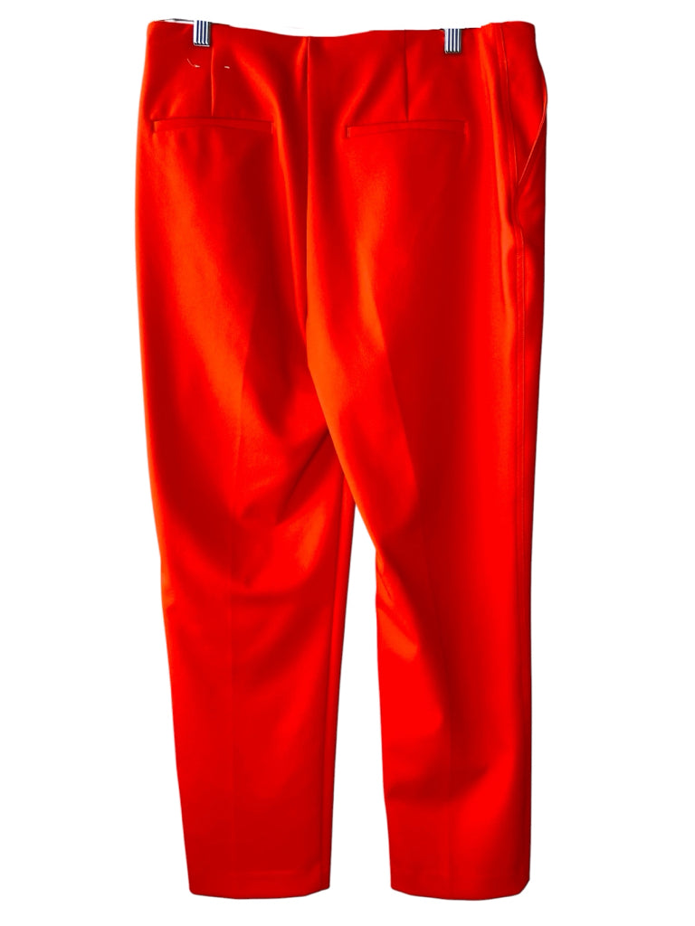 RACHEL ZOE Size 10 PANTS W