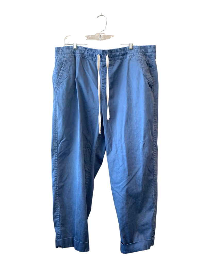 LANE BRYANT  20 PANTS W