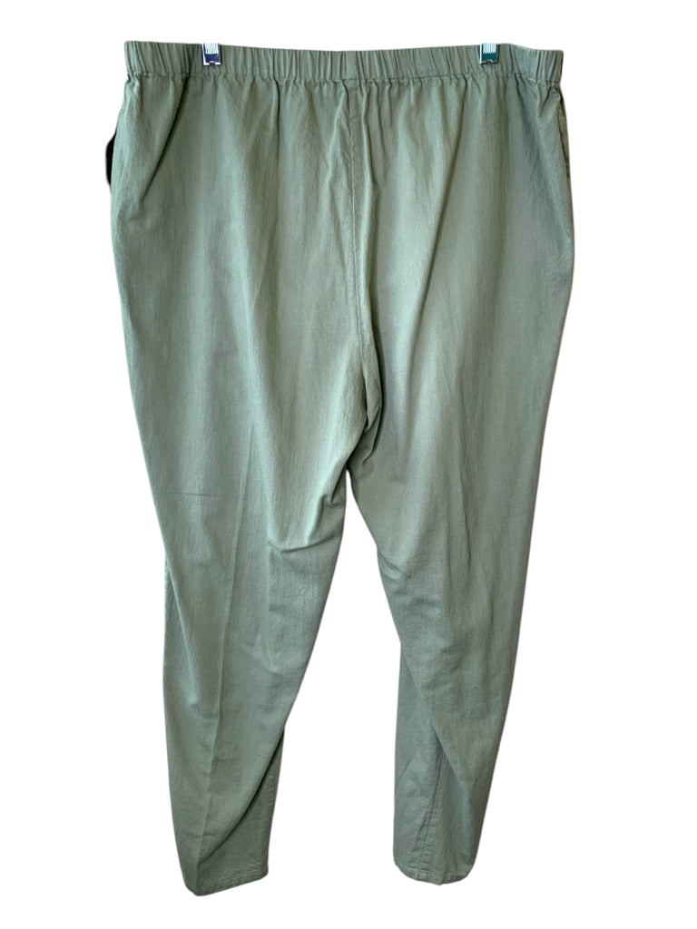 EILEEN FISHER  10 PANTS W