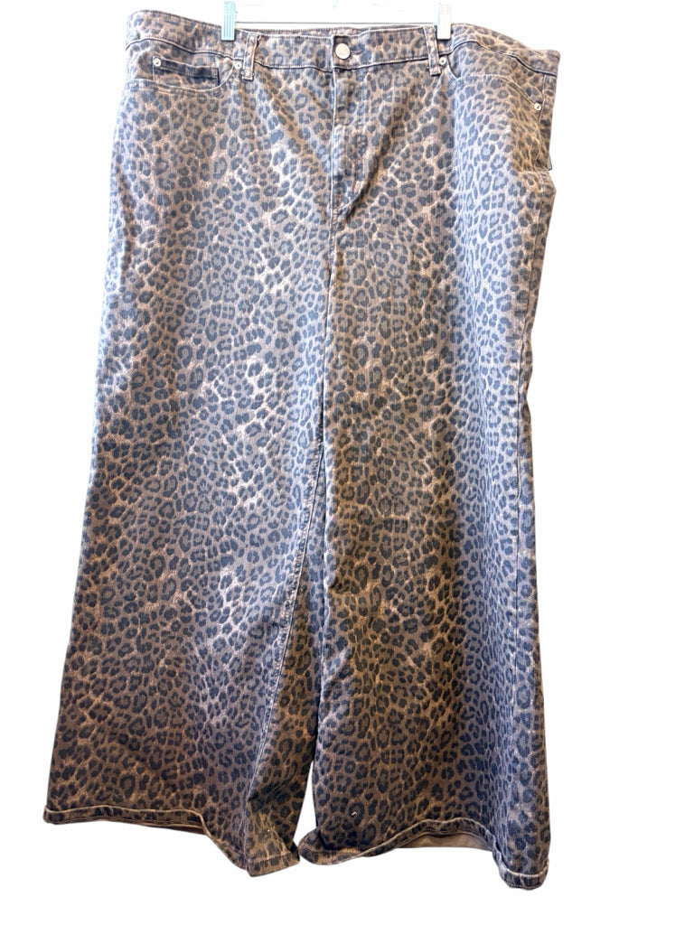 TORRID Size 26 JEANS W