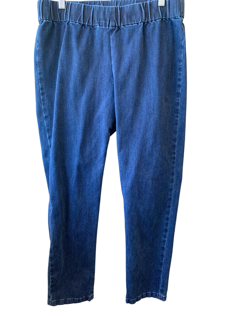 SOFT SURROUNDINGS  PL JEANS W