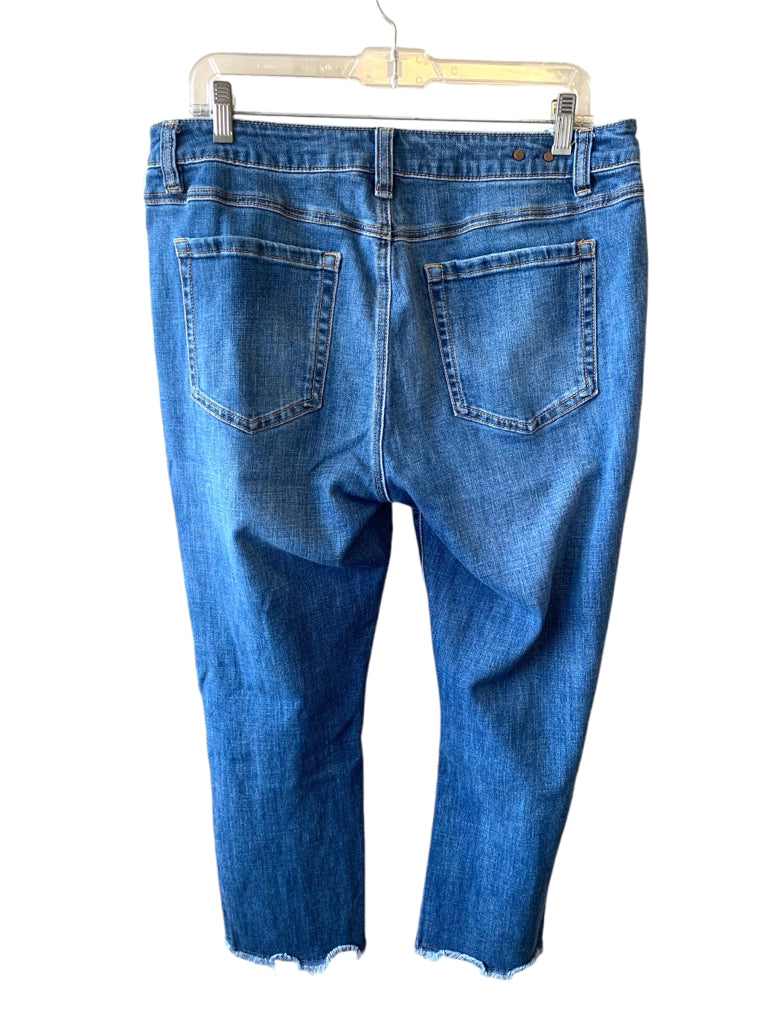 CABI  14 JEANS W