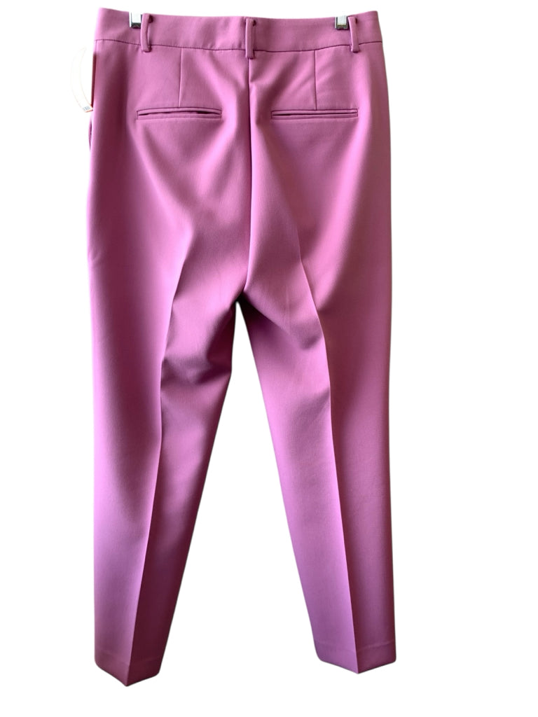 ANN TAYLOR  4 PANTS W