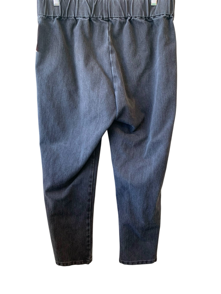 SOFT SURROUNDINGS  PL JEANS W