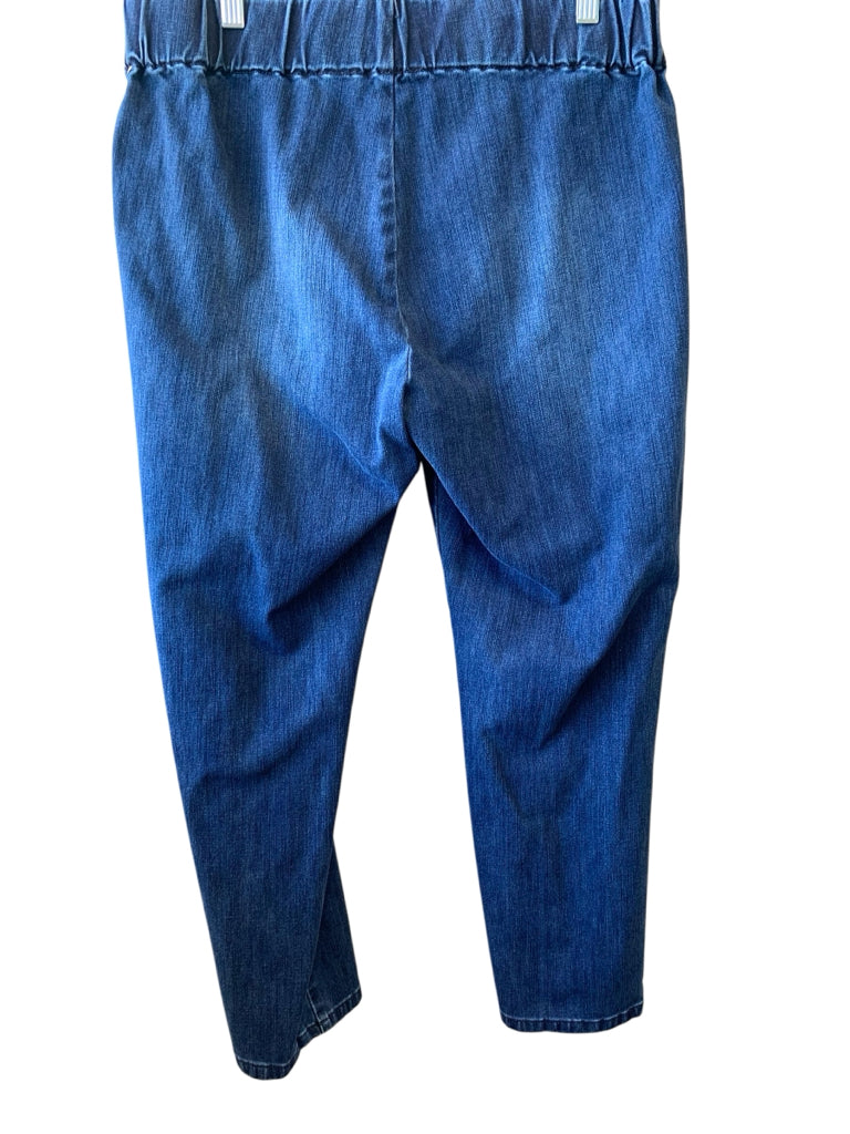 SOFT SURROUNDINGS  PL JEANS W