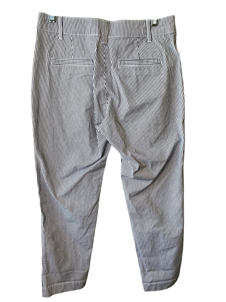 GAP  6 PANTS W