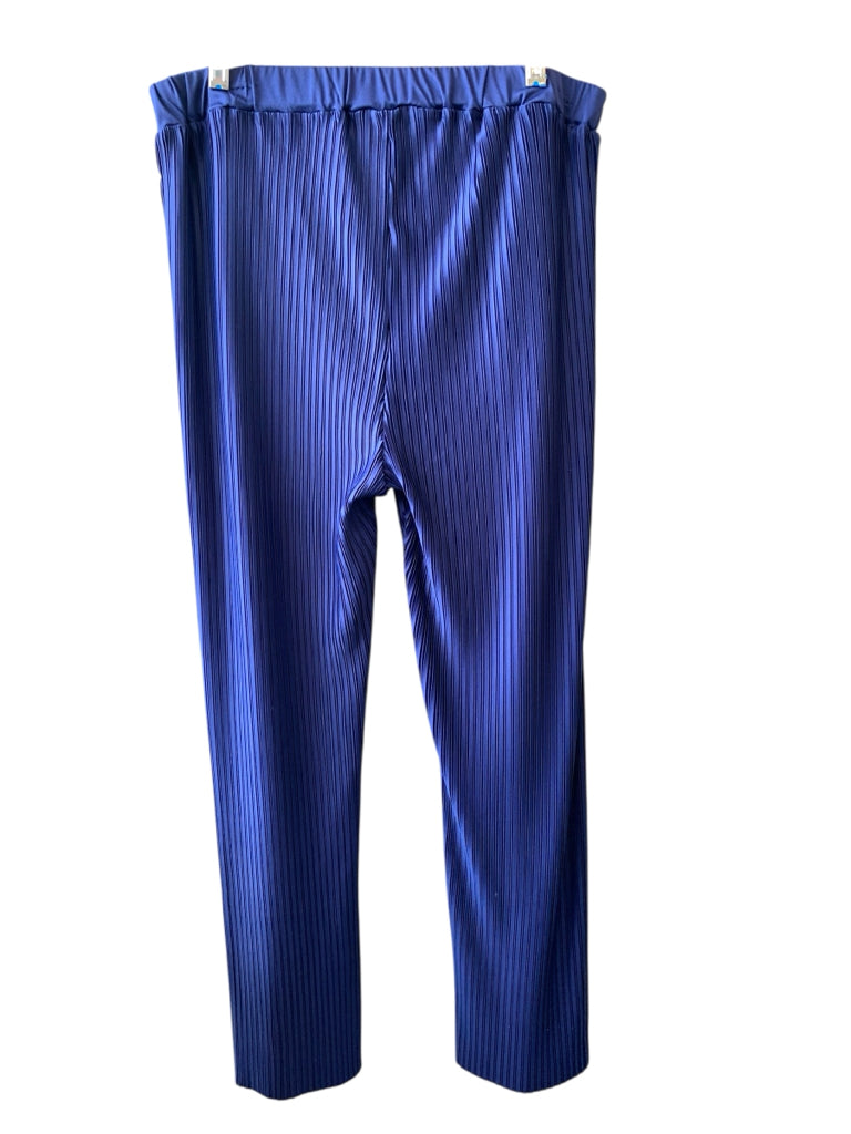 DRAPER'S AND DAMON'S  large PANT SET