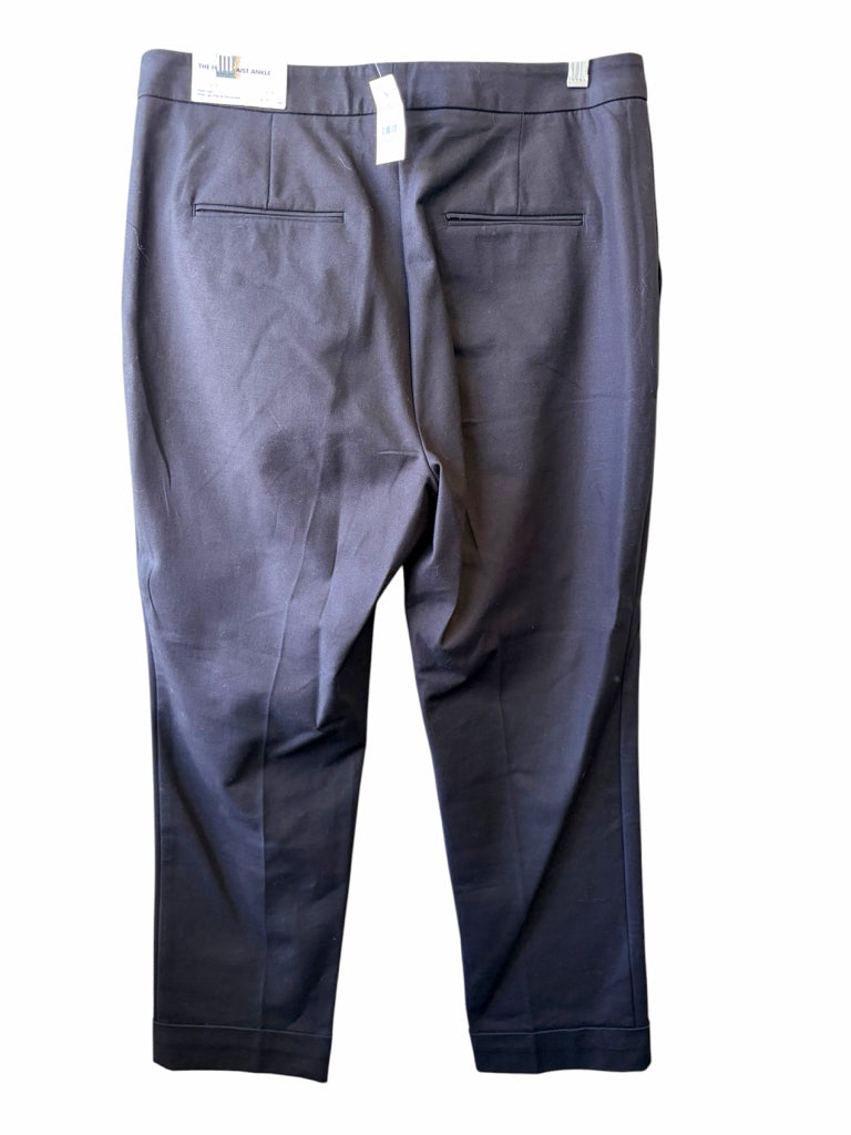 ANN TAYLOR Size 10 PANTS W