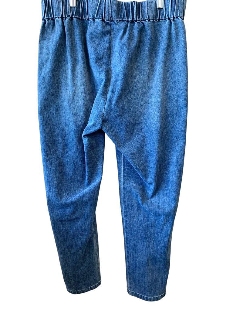 SOFT SURROUNDINGS  PL JEANS W