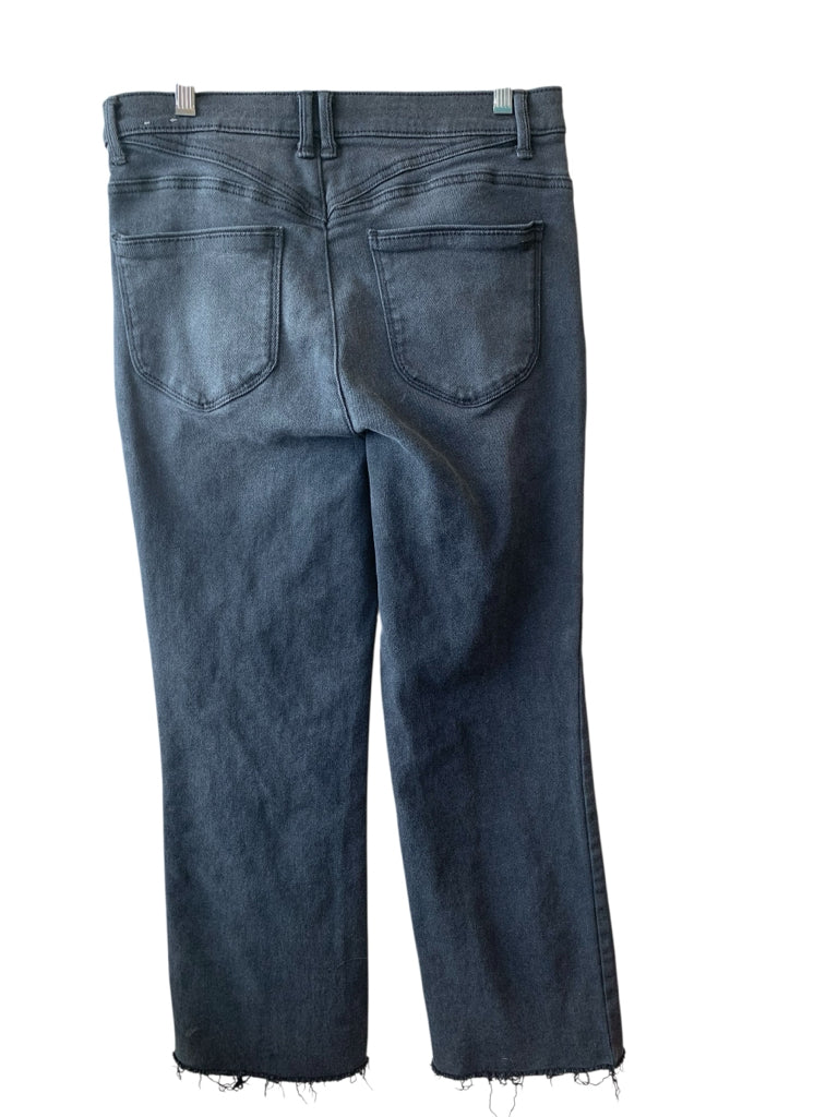 WIT & WISDOM Size 10 JEANS W
