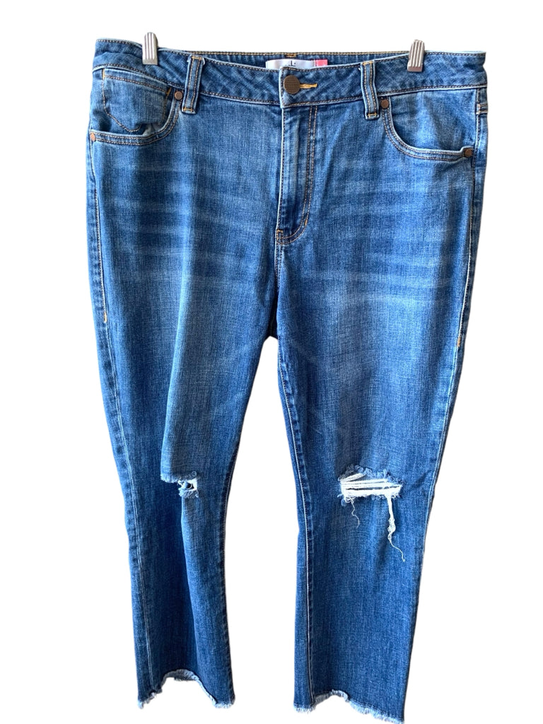 CABI  14 JEANS W