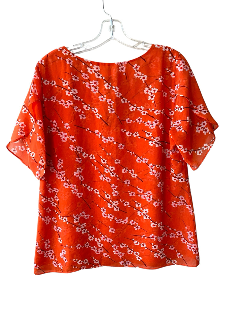 CABI  medium TOP W
