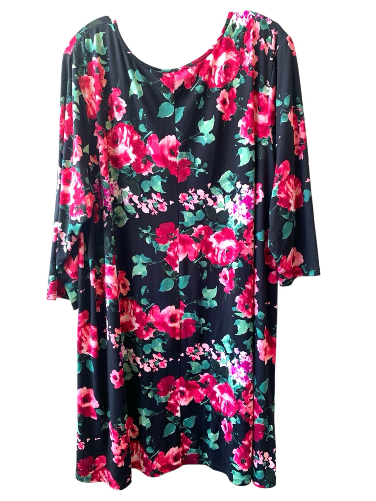 JAMIE & LAYLA  3X DRESS W
