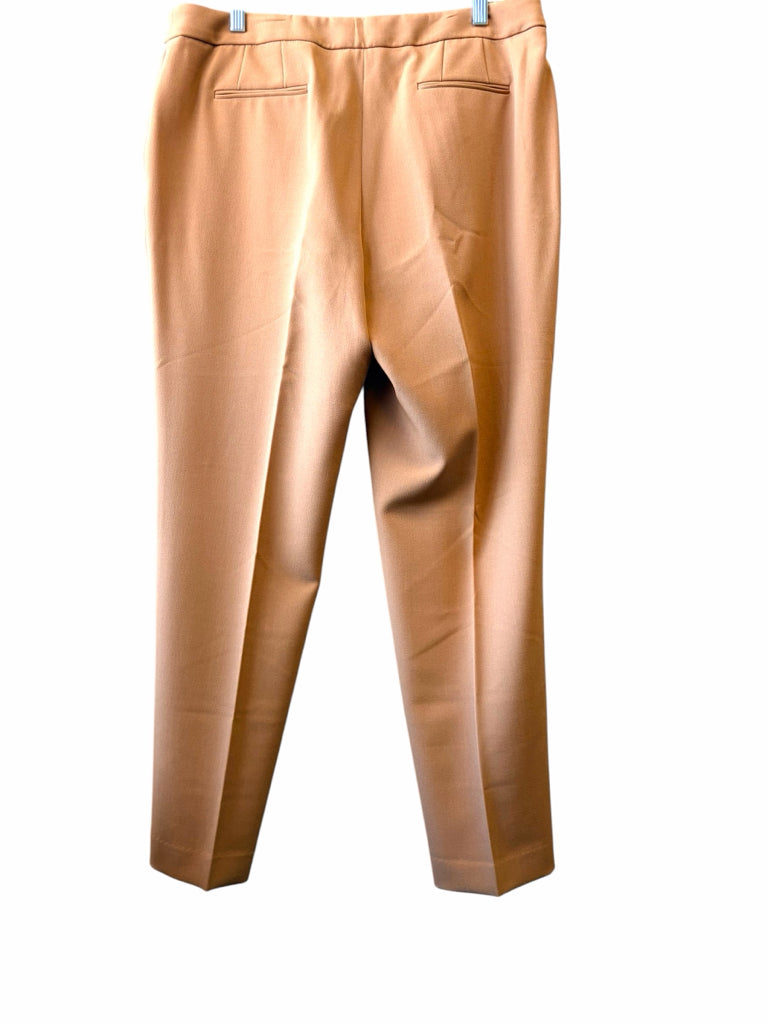 ANNE KLEIN Size 14 PANTS W