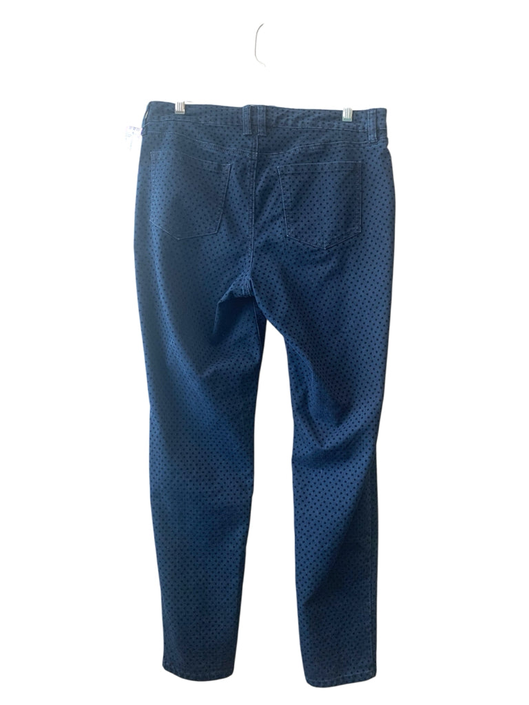 STYLE & CO  10 JEANS W