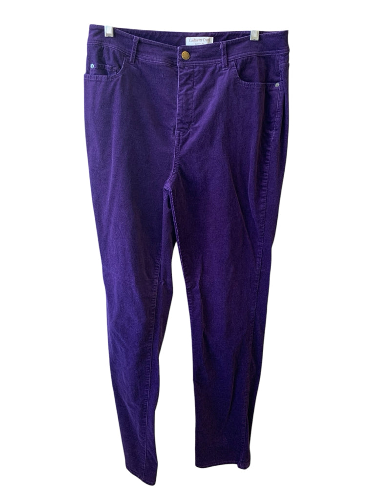 COLDWATER CREEK  10 PANTS W