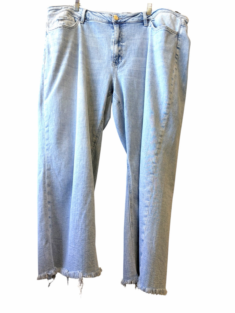 VERVET Size 24W JEANS W