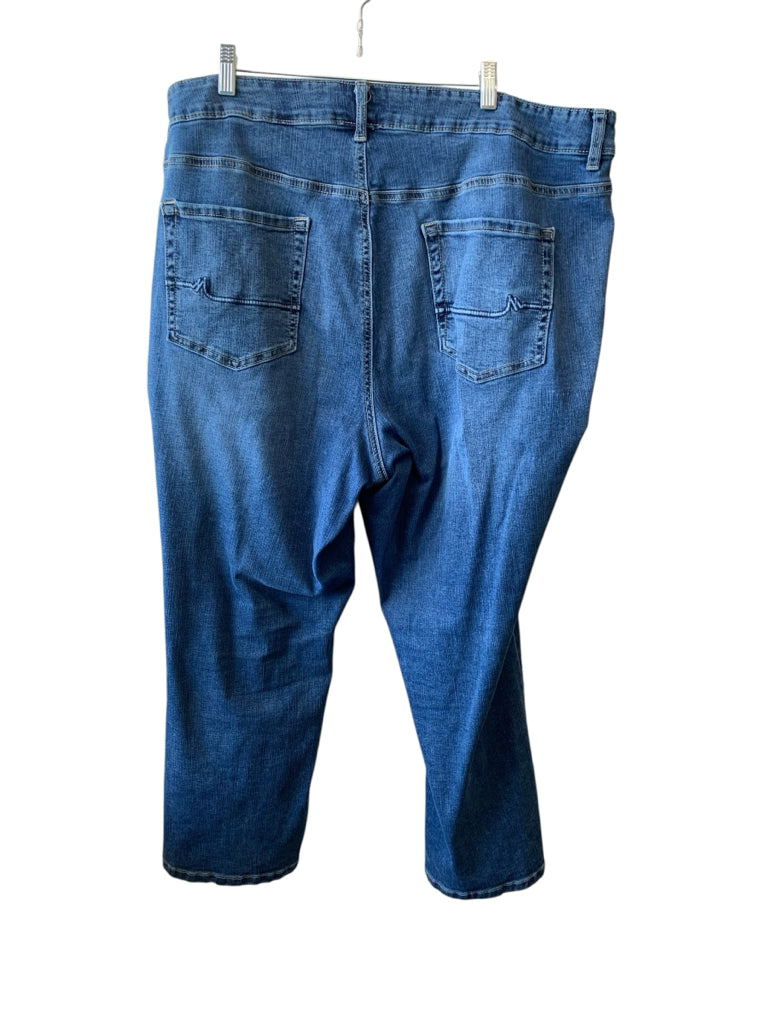 MAURICES  24W JEANS W