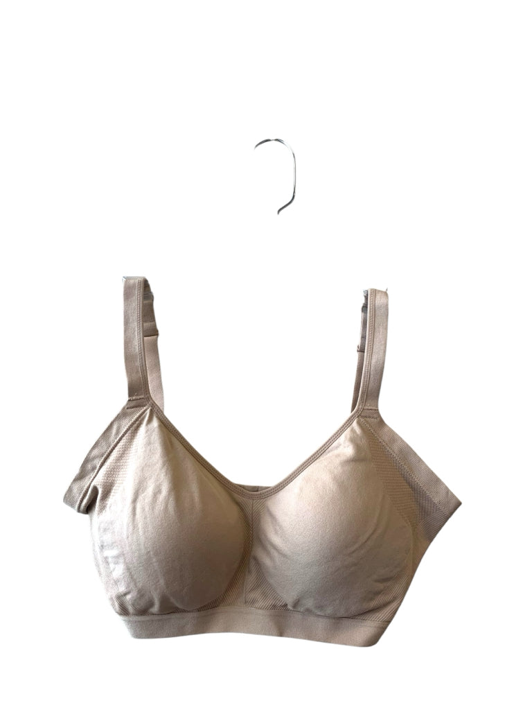WARNER BROTHER  large SPORT BRA