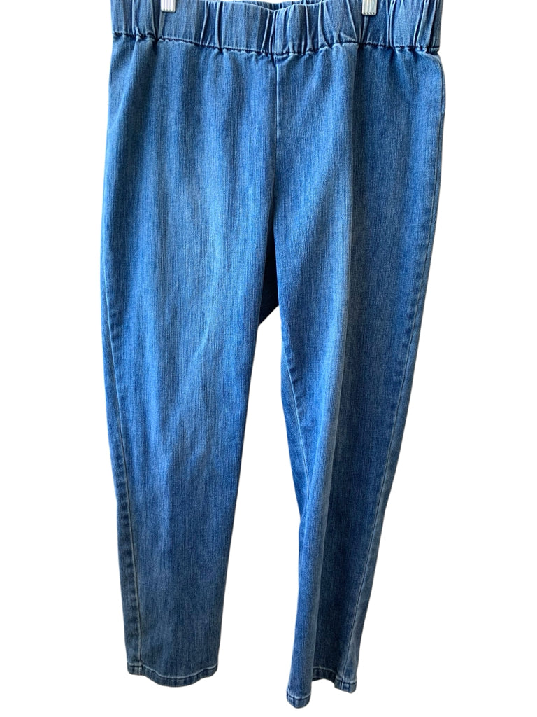 SOFT SURROUNDINGS  PL JEANS W