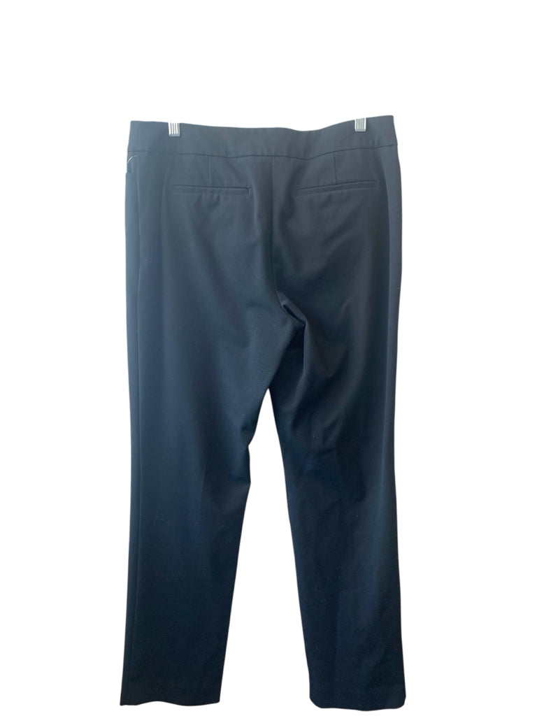 ANN TAYLOR  10 PANTS W