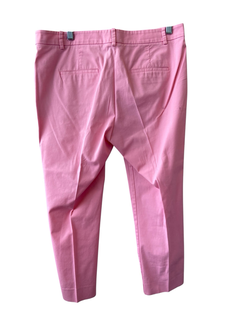 ANN TAYLOR Size 8 CROP W