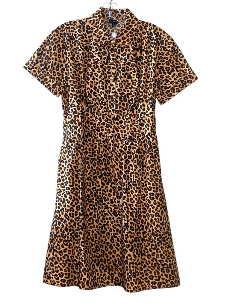 TALBOTS Size 2 DRESS W