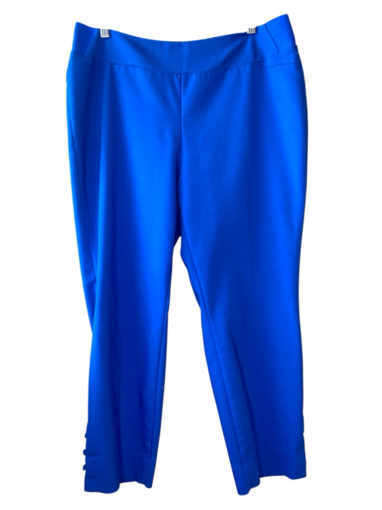 INVESTMENTS Size 14 PANTS W