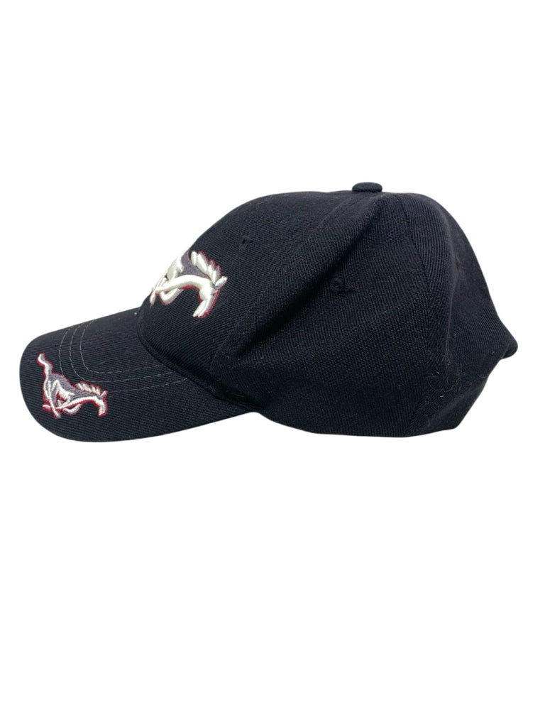 ADULT HAT W