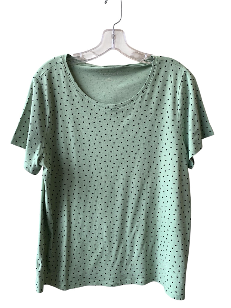 ANN TAYLOR Size xL TOP W
