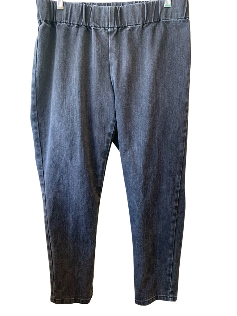 SOFT SURROUNDINGS  PL JEANS W