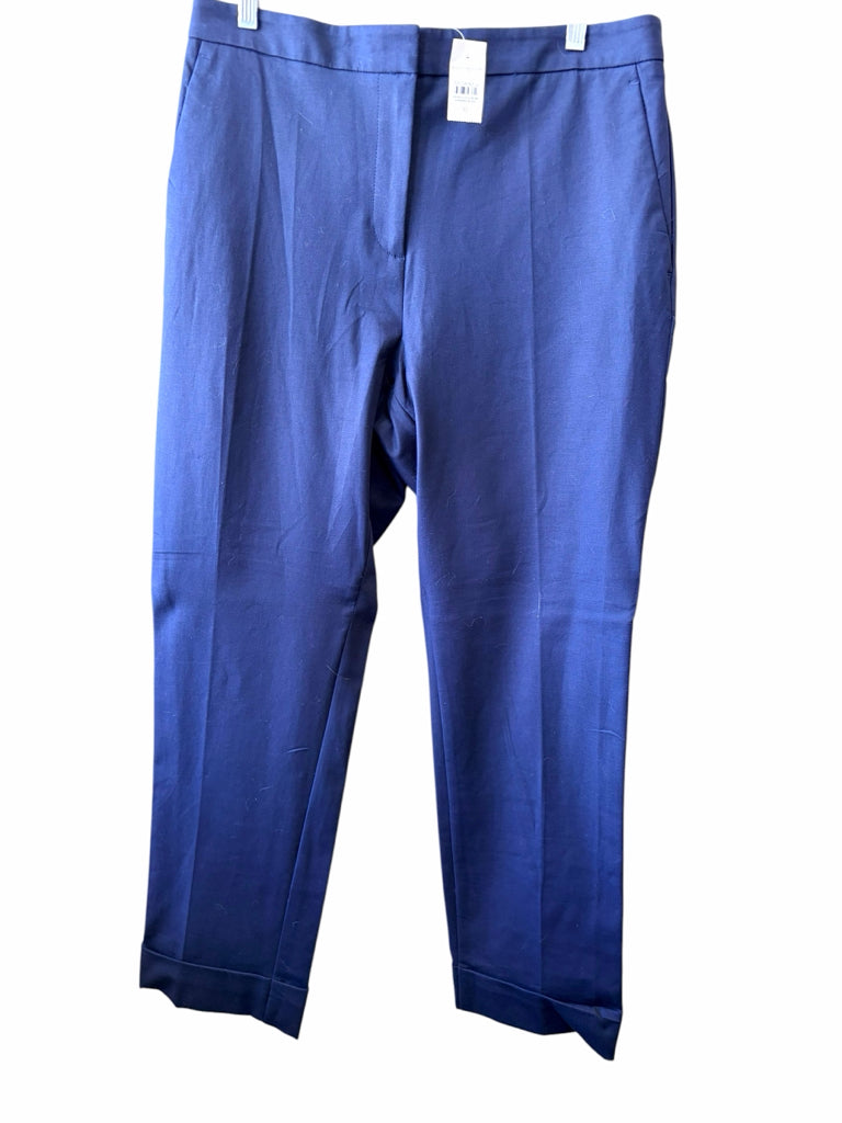 ANN TAYLOR Size 10 PANTS W