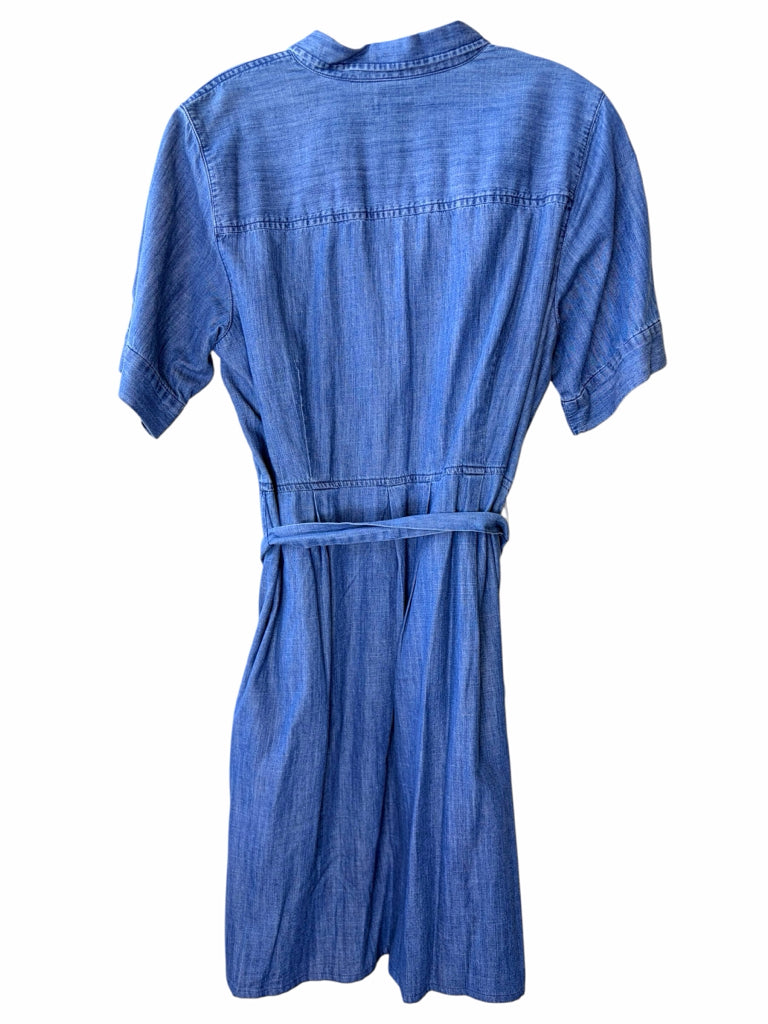 J CREW Size 8 DRESS W