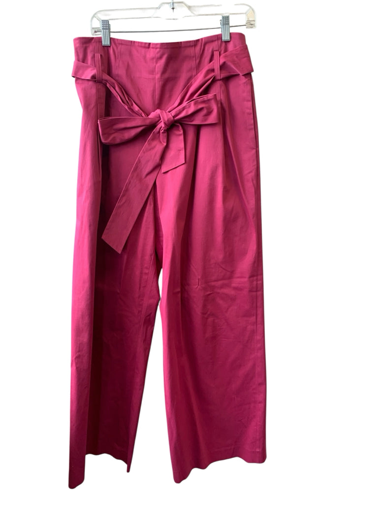 ANTONIO MELANI Size 10 PANTS W