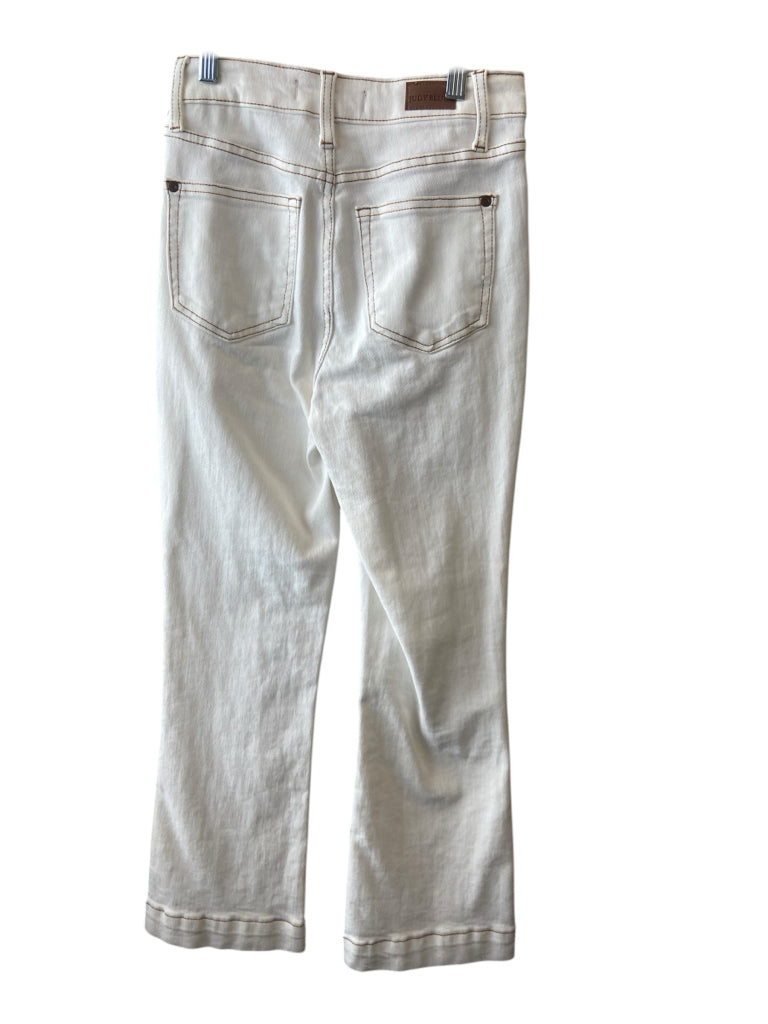 JUDY BLUE Size 0 JEANS W