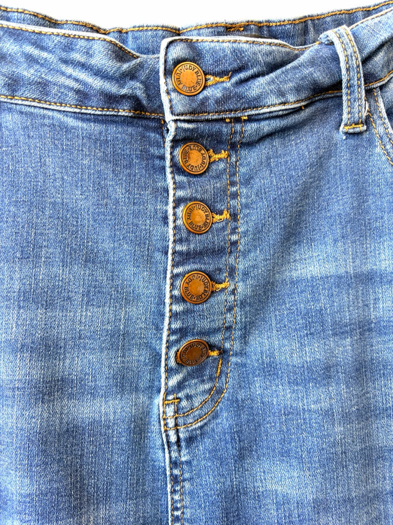 JUDY BLUE Size 24W JEANS W