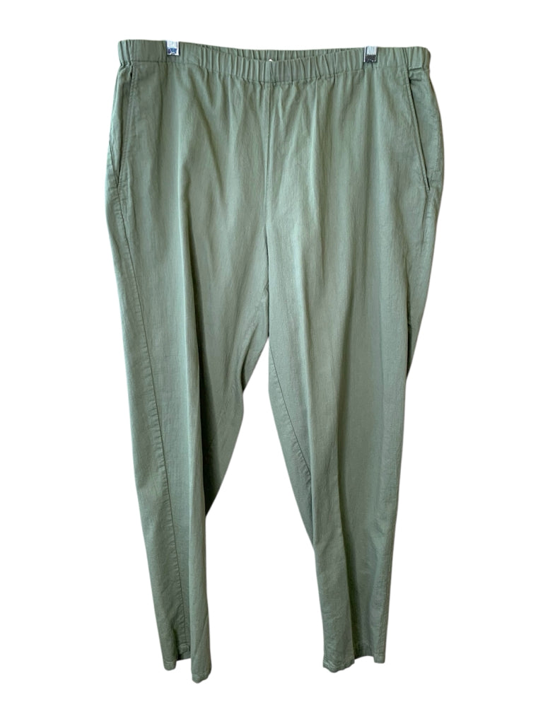 EILEEN FISHER  10 PANTS W