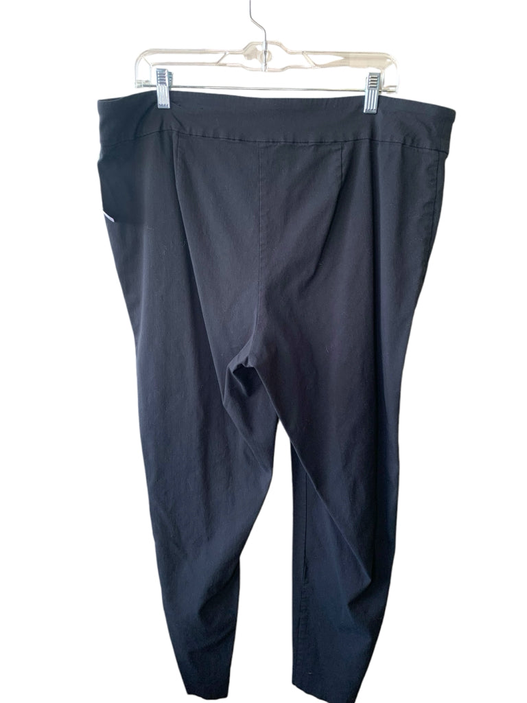 AVENUE BLUES  20 PANTS W