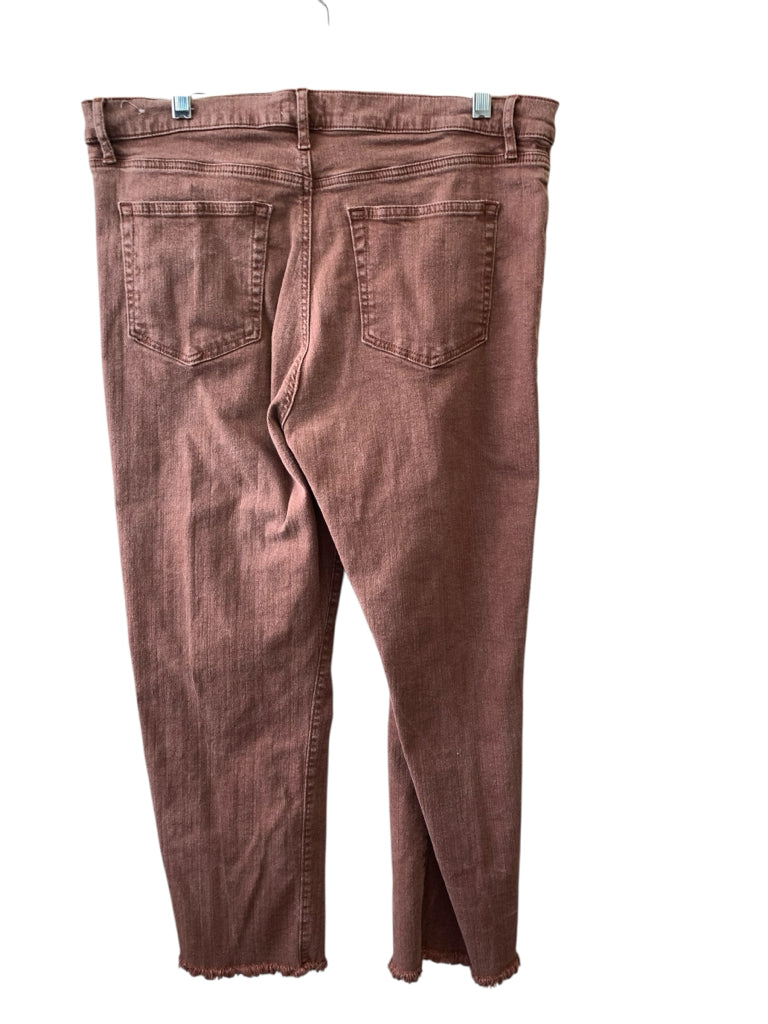 AT LOFT  12 JEANS  W