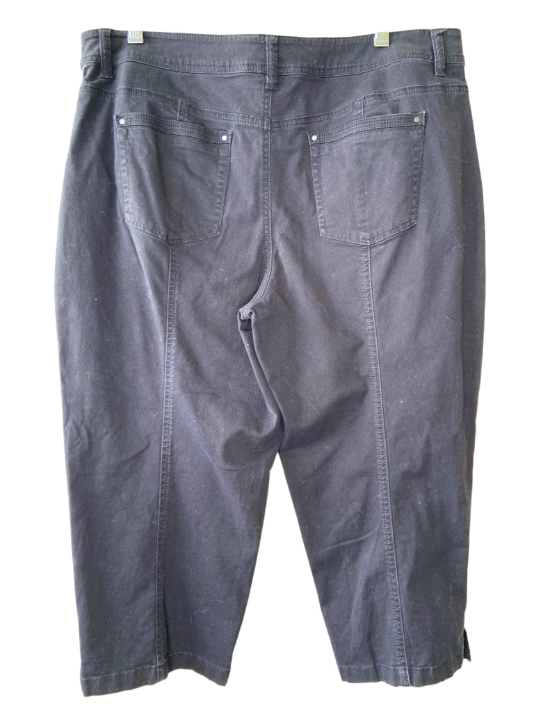 STYLE & CO Size 14 CROP W