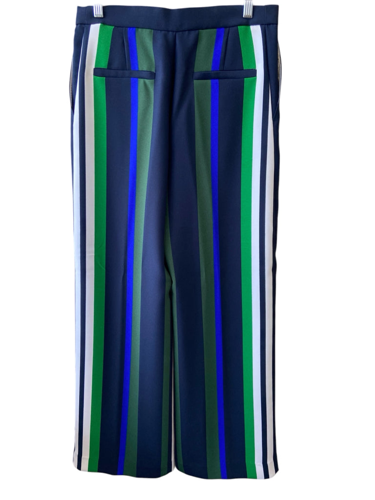 BANANA REPUBLIC Size 10 PANTS W