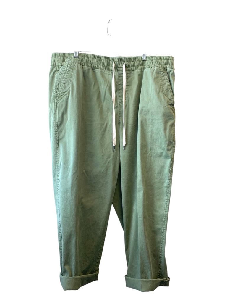 LANE BRYANT  20 PANTS W