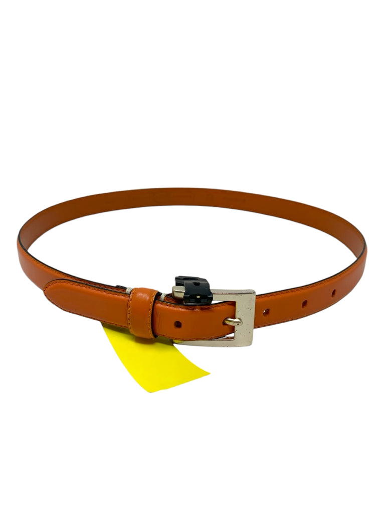 FOSSIL  medium BELT W