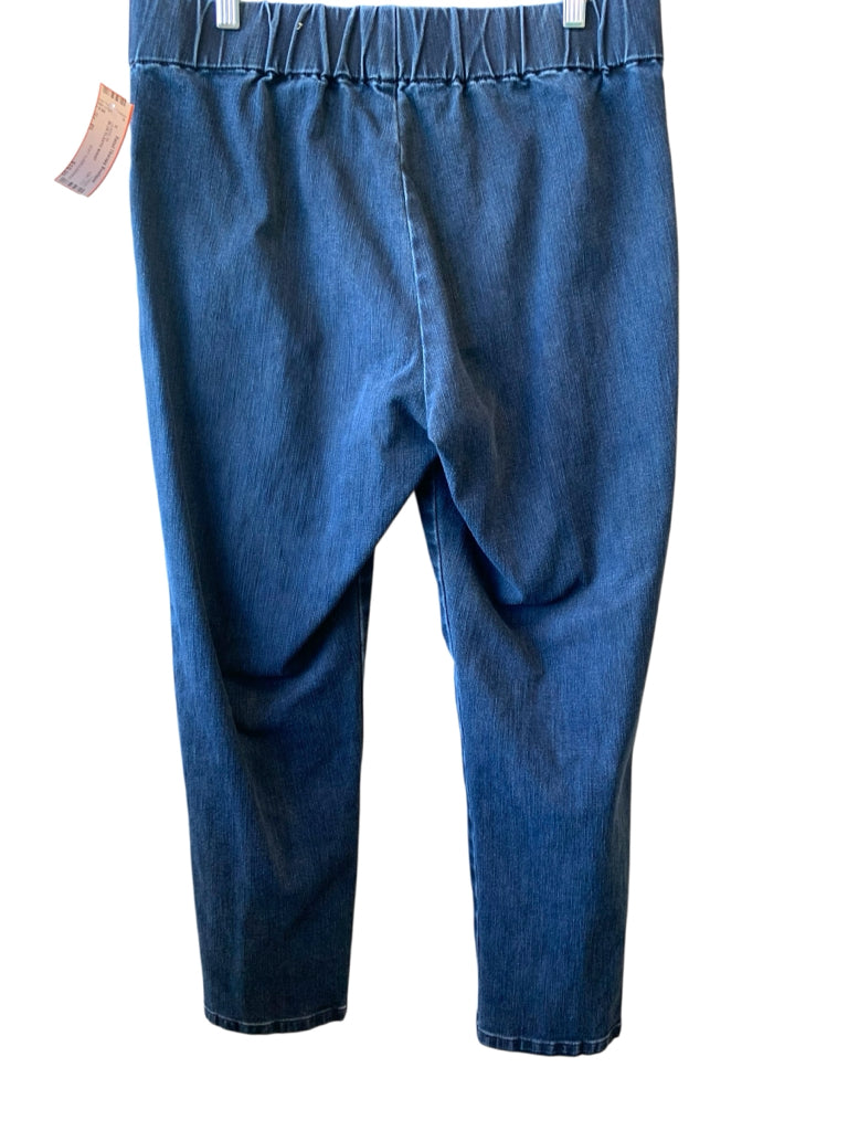 SOFT SURROUNDINGS  PL JEANS W