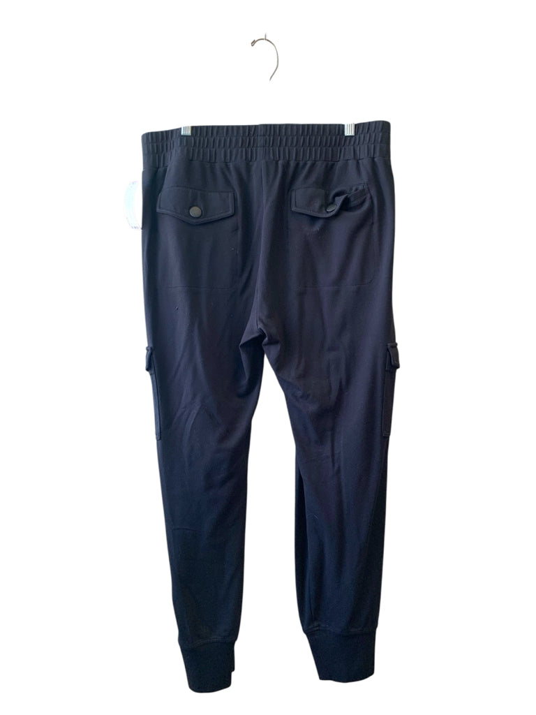 CABI  12 PANTS W