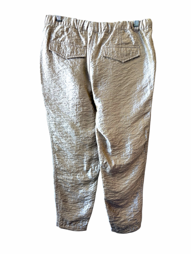 J CREW Size 6 CAPRI W